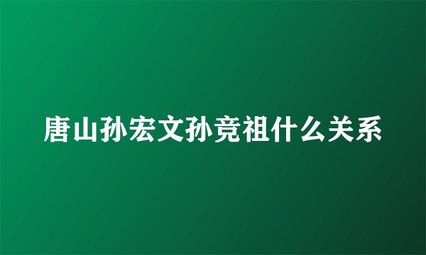 唐山孙宏文孙竞祖什么关系