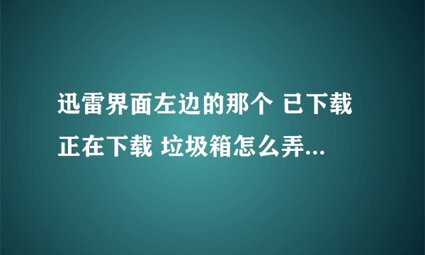 迅雷界面左边的那个 已下载 正在下载 垃圾箱怎么弄出来呀？我给关了