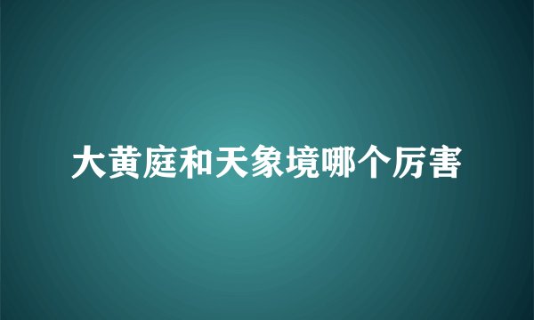 大黄庭和天象境哪个厉害