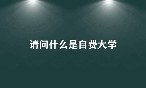请问什么是自费大学