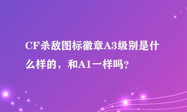CF杀敌图标徽章A3级别是什么样的，和A1一样吗？