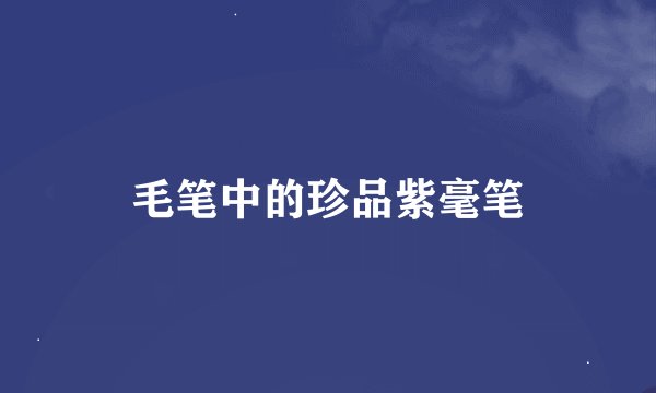 毛笔中的珍品紫毫笔