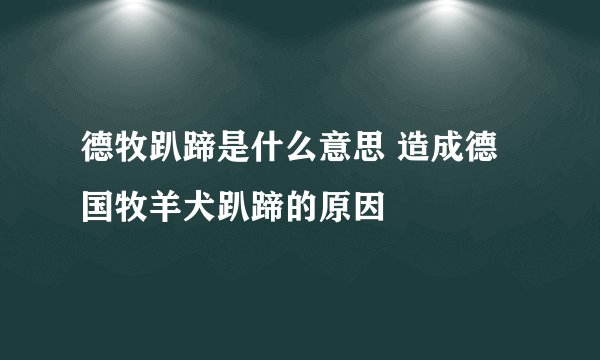 德牧趴蹄是什么意思 造成德国牧羊犬趴蹄的原因