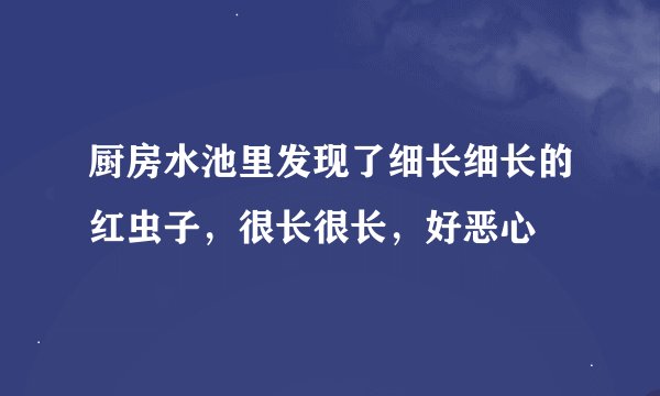厨房水池里发现了细长细长的红虫子，很长很长，好恶心