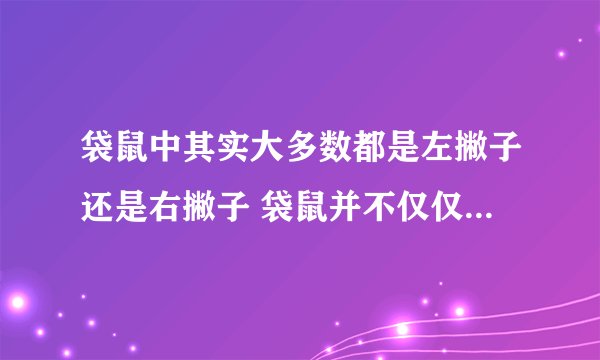 袋鼠中其实大多数都是左撇子还是右撇子 袋鼠并不仅仅跳跃行进