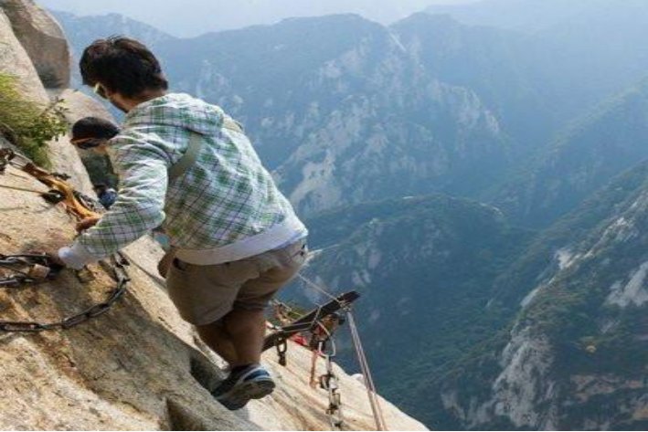 拟行路难 托物寓意