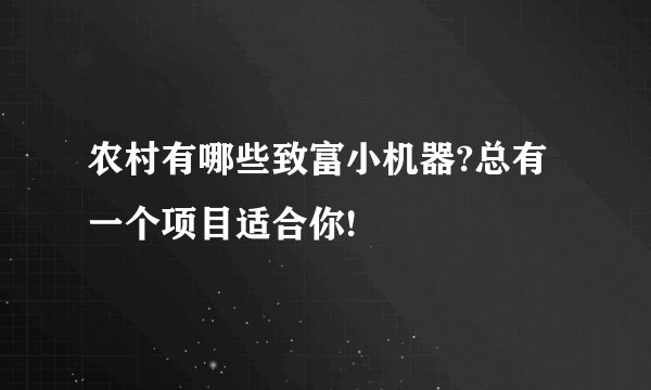 农村有哪些致富小机器?总有一个项目适合你!