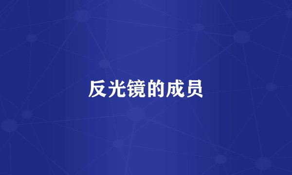 反光镜的成员