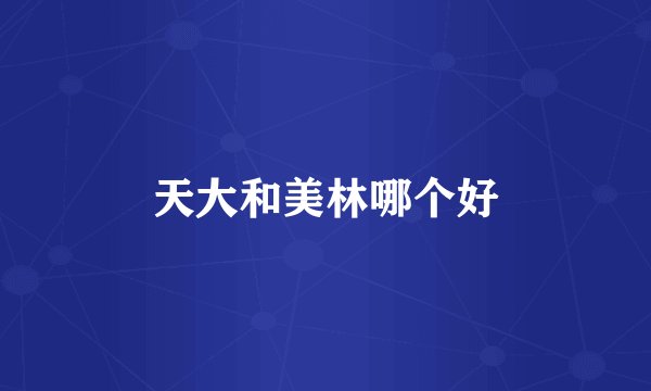 天大和美林哪个好