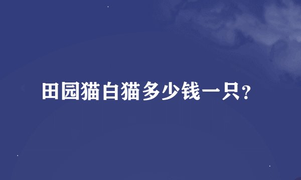 田园猫白猫多少钱一只？