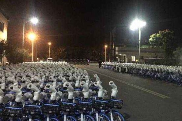 中国自行车遭“哄抢”,这种情况会持续多久?