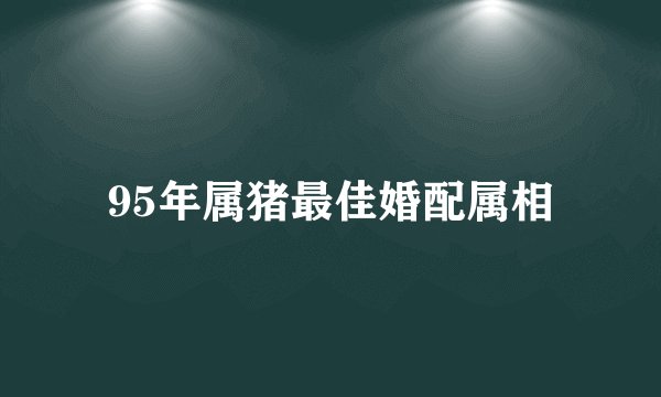 95年属猪最佳婚配属相
