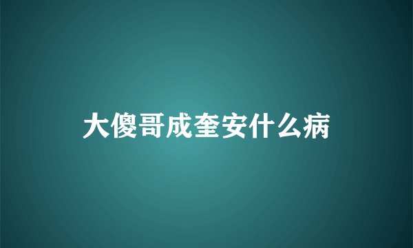 大傻哥成奎安什么病