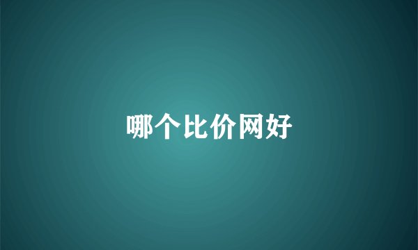哪个比价网好