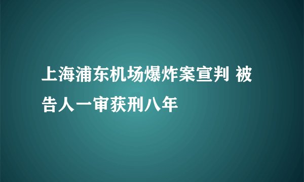 上海浦东机场爆炸案宣判 被告人一审获刑八年