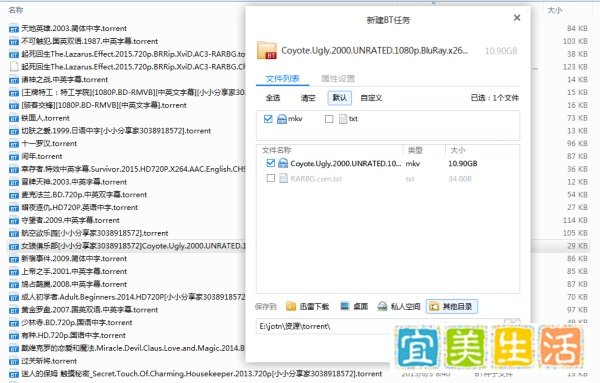 BT种子文件的两种使用方法