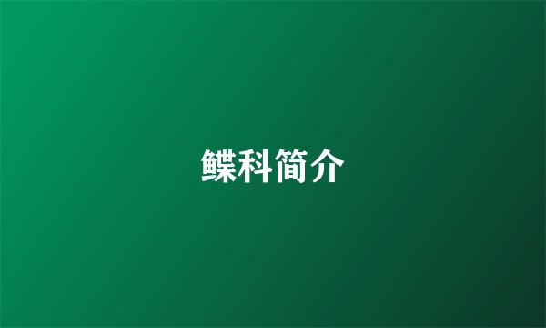 鲽科简介