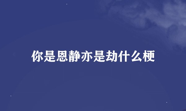 你是恩静亦是劫什么梗