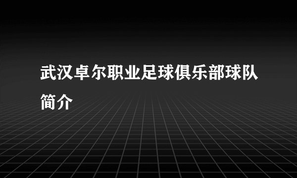 武汉卓尔职业足球俱乐部球队简介