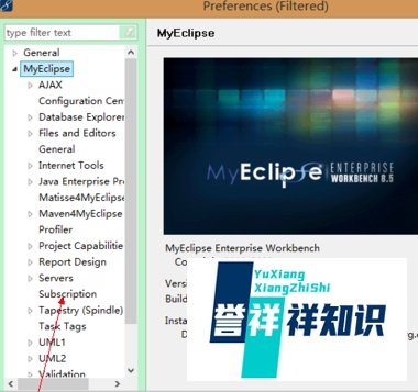 试用结束后，MyEclipse如何进行激活。