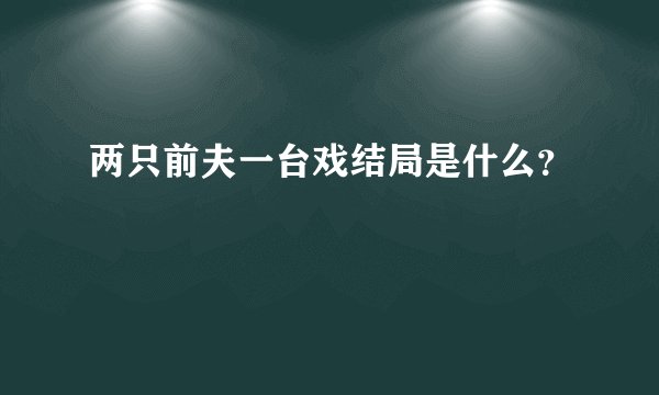 两只前夫一台戏结局是什么？