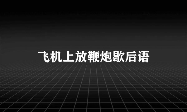 飞机上放鞭炮歇后语