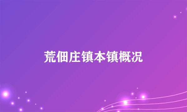 荒佃庄镇本镇概况