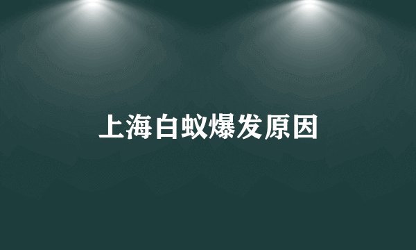 上海白蚁爆发原因