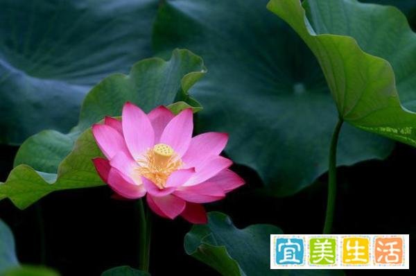 真正的聪明人，都会“留一手”