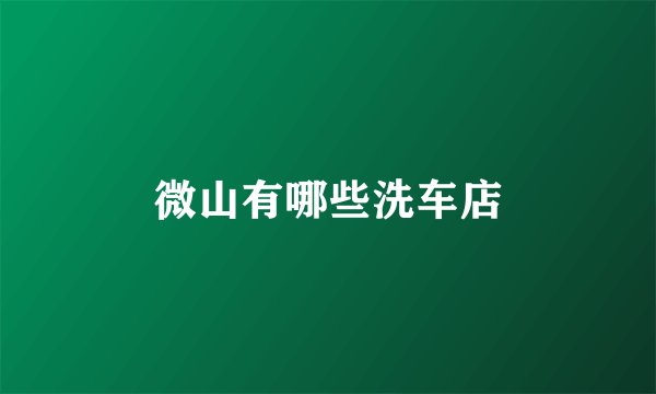 微山有哪些洗车店