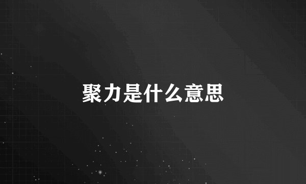 聚力是什么意思
