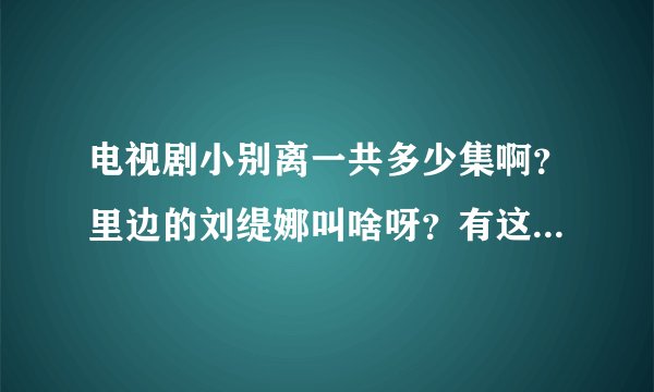 电视剧小别离一共多少集啊？里边的刘缇娜叫啥呀？有这个演员的简介吗？