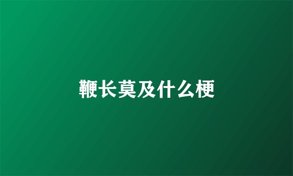 鞭长莫及什么梗