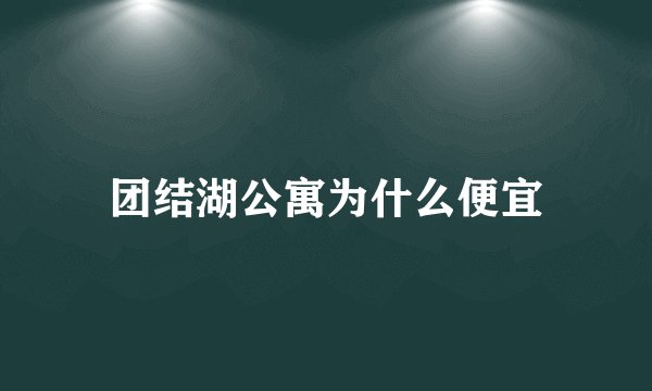团结湖公寓为什么便宜