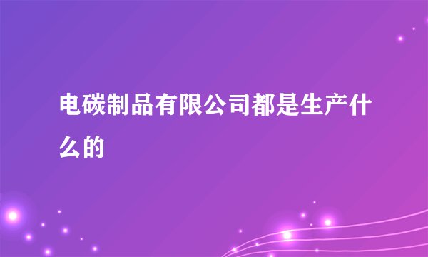 电碳制品有限公司都是生产什么的