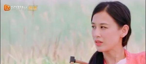 杨子黄圣依，到底还有多少财富