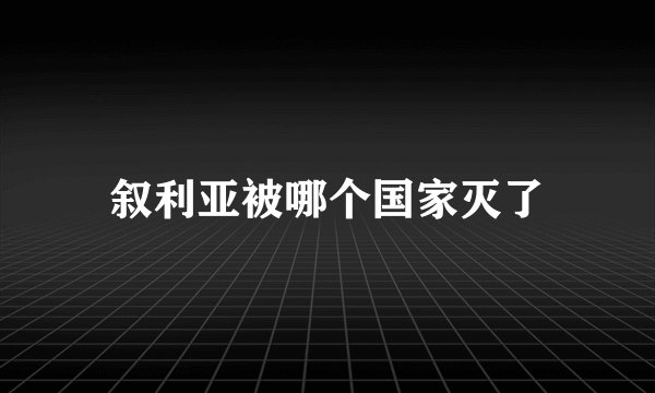 叙利亚被哪个国家灭了