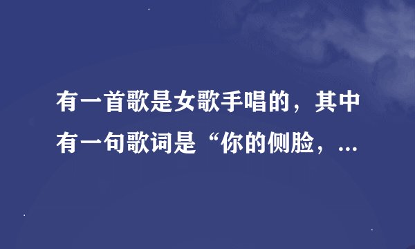 有一首歌是女歌手唱的,其中有一句歌词是“你的侧脸,依然好看,只是我的左边不是你的有肩”谁知道歌名...