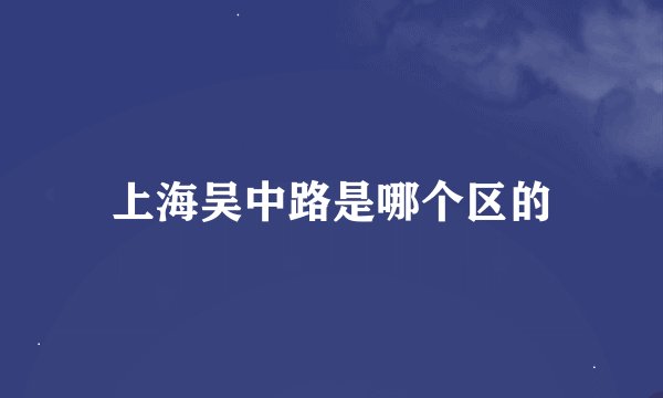 上海吴中路是哪个区的