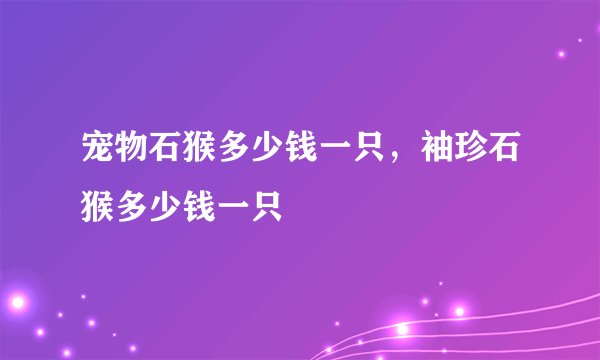 宠物石猴多少钱一只，袖珍石猴多少钱一只