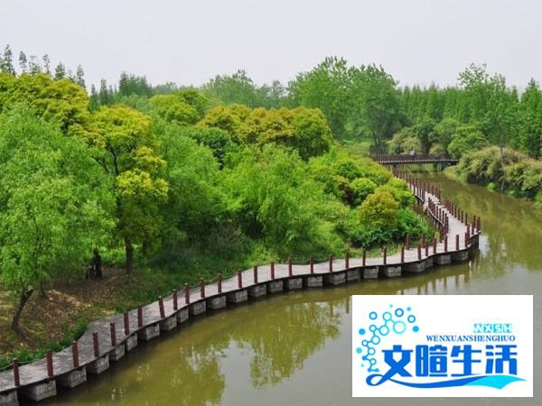 滨江森林公园游玩攻略