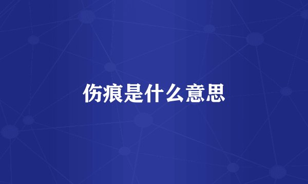 伤痕是什么意思