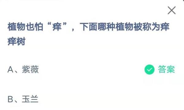 蚂蚁庄园植物也怕“痒”答案