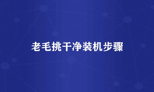 老毛挑干净装机步骤