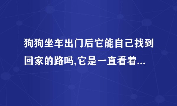 狗狗坐车出门后它能自己找到回家的路吗,它是一直看着开车路线的