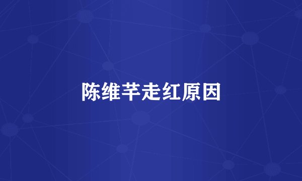 陈维芊走红原因