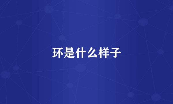 环是什么样子