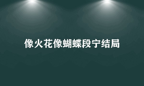 像火花像蝴蝶段宁结局