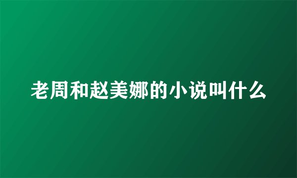 老周和赵美娜的小说叫什么