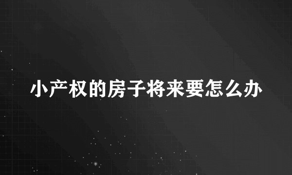 小产权的房子将来要怎么办